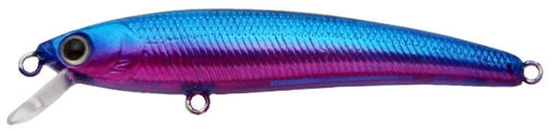 Challenger Micro Minnow