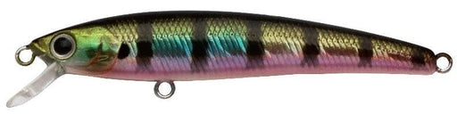 0016825_challenger-micro-floating-minnow-2-38-332-oz-met-trout