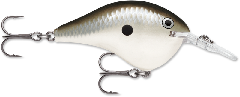 Rapala DT Series Crankbait