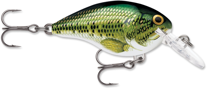 Rapala DT Series Crankbait