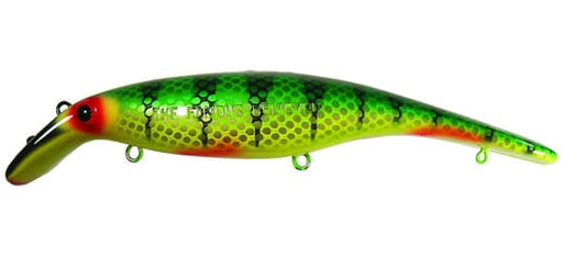 1000S-05-550x250