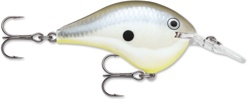 Rapala DT Series Crankbait