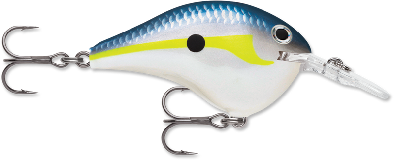 Rapala DT Series Crankbait