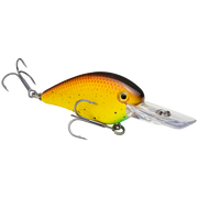 1.5 deep bully