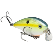 1.5 shallow chart sexy shad