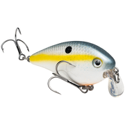1.5 shallow sexy shad
