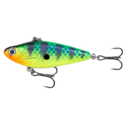 1589554fd8_clamstudio_cpt_psychoshad-17_1