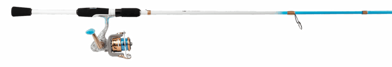 Profishiency Bruha Spinning Combo