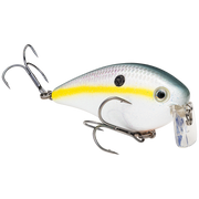2.5 wakebait sexy shad