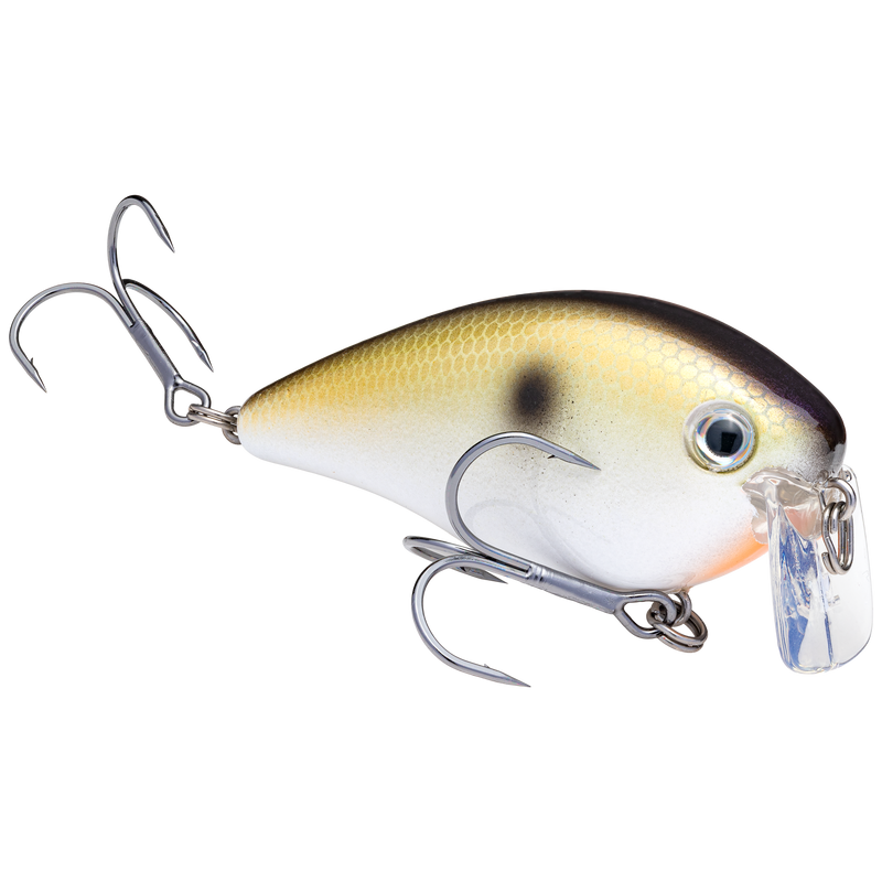 2.5 wakebait tn shad 2