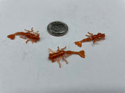 258002191_300061851975713_6214240669481227976_n