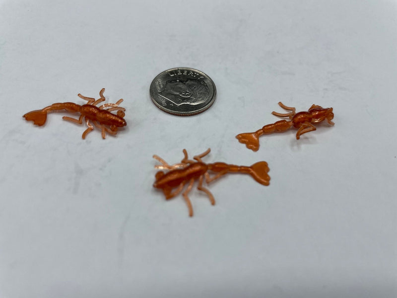 258002191_300061851975713_6214240669481227976_n