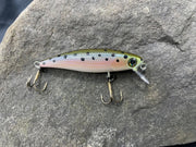 275896628_419256816628424_2322084447463315477_n