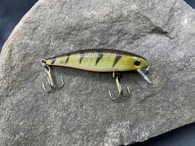 275922011_716472076400724_1007959979689986078_n