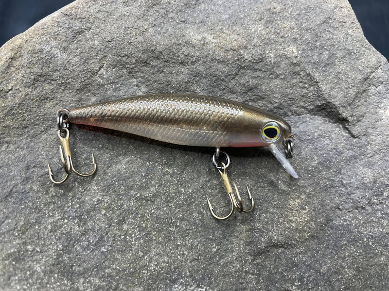 275937425_676874470216611_1148818206942772195_n