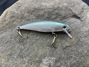 275970075_508285697373491_8060947780180439189_n