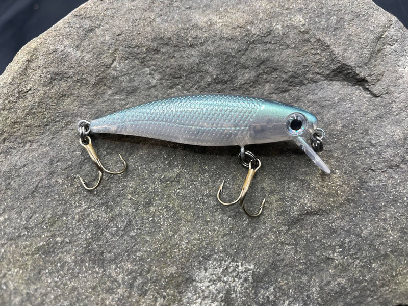 275970075_508285697373491_8060947780180439189_n