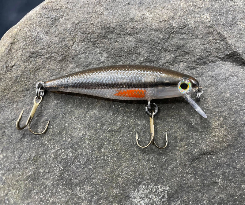 275980661_686198439472239_5578216480699262801_n