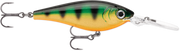 28cf98d6d78a66_jcqhd28eit1kdbv30duus0ne5f_c29495a7
