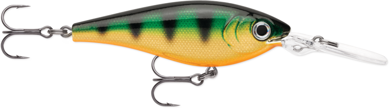 28cf98d6d78a66_jcqhd28eit1kdbv30duus0ne5f_c29495a7