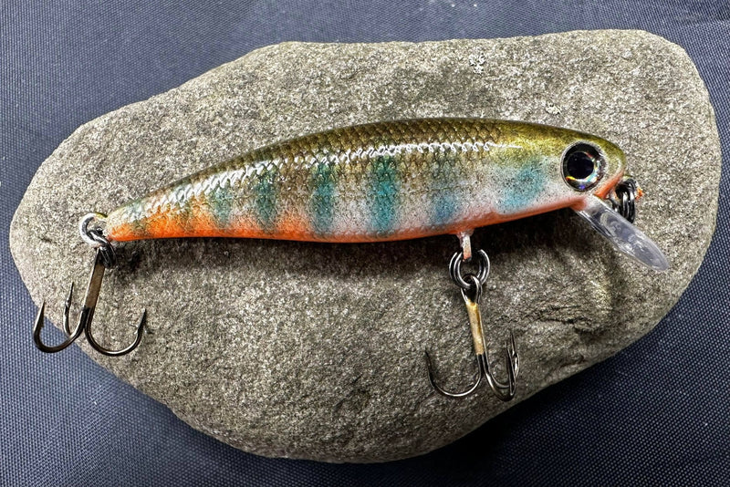 329812120_1250729319161776_1090406492617459230_n