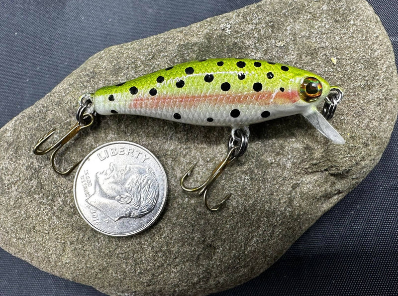 333223339_1021356445414391_5112612217669438469_n