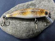 334059384_597025235635775_4954929449721201832_n