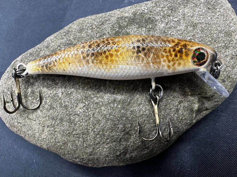 334059384_597025235635775_4954929449721201832_n