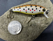 334209728_228611162966366_7913231854035953620_n