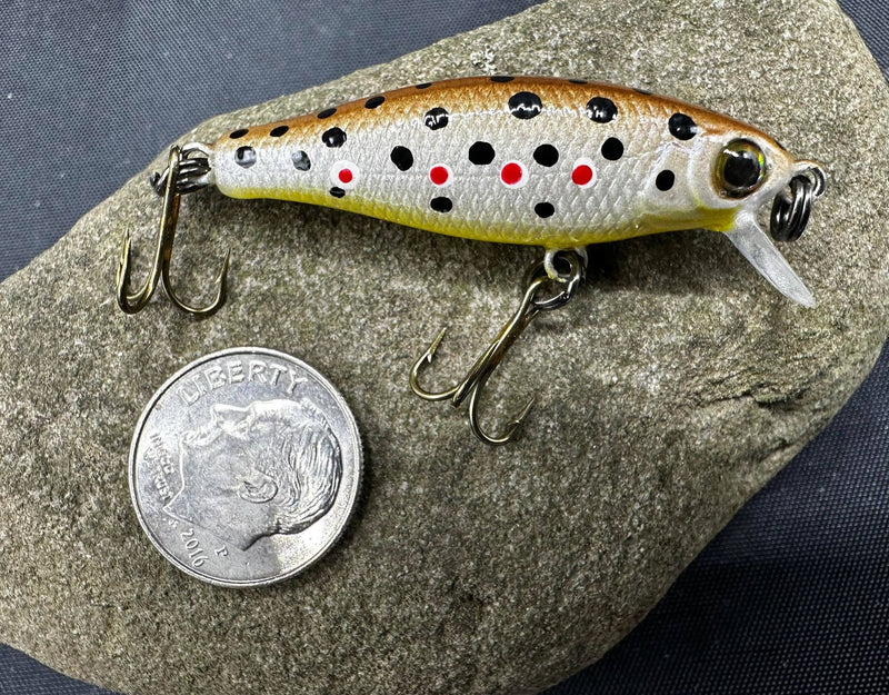 334209728_228611162966366_7913231854035953620_n