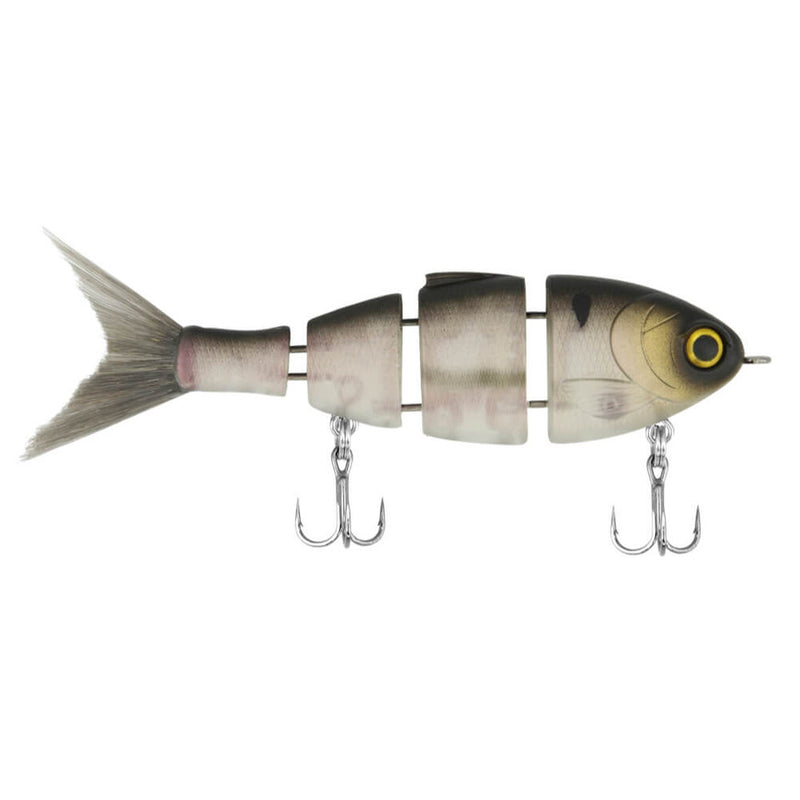 Mike Bucca's Lil Baby Bull Shad