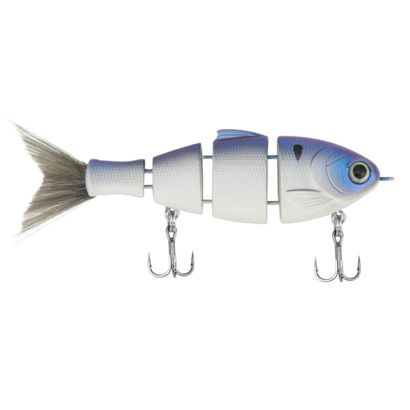 Mike Bucca's Lil Baby Bull Shad