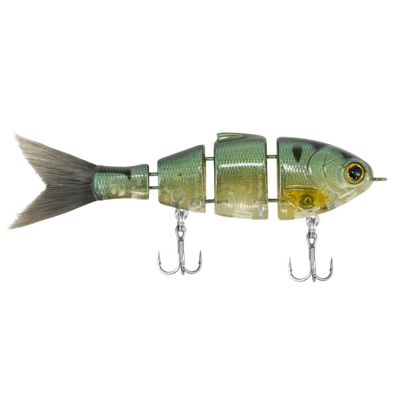 Mike Bucca's Lil Baby Bull Shad