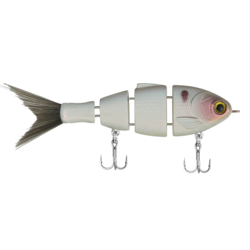 Mike Bucca's Lil Baby Bull Shad