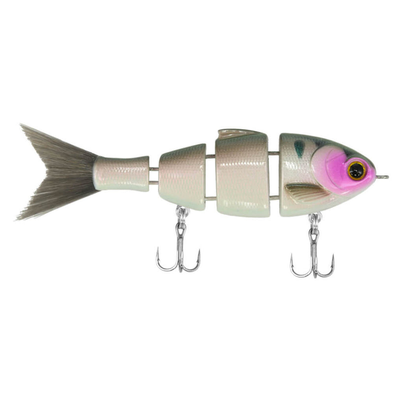 Mike Bucca's Lil Baby Bull Shad