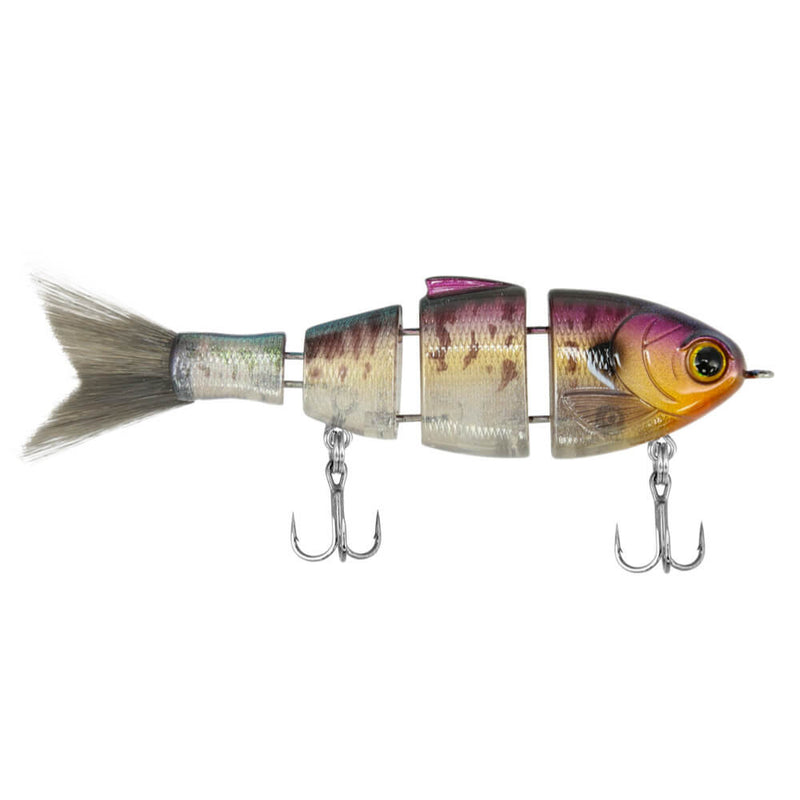 Mike Bucca's Lil Baby Bull Shad