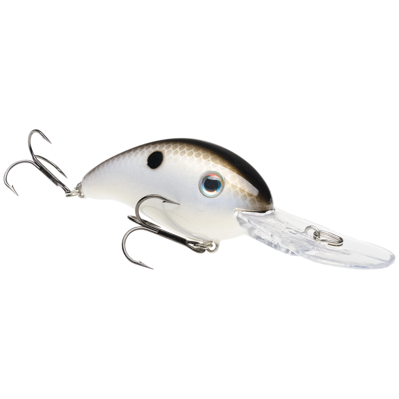 3xd gizzard shad
