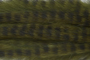 4200330_I
