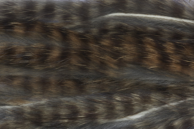 4200340_I