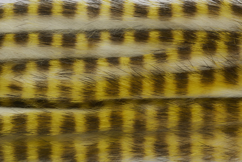 4200355_I