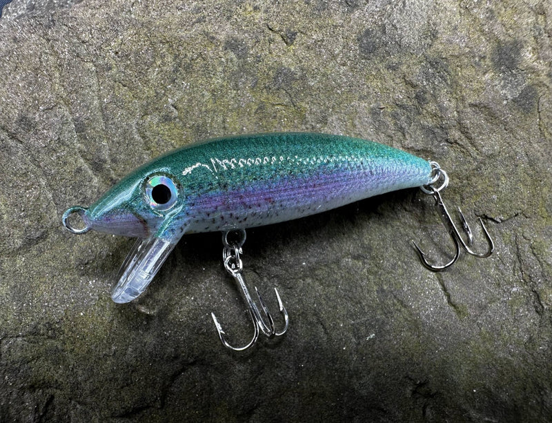 431781557_1087151039175780_8368686495189446232_n