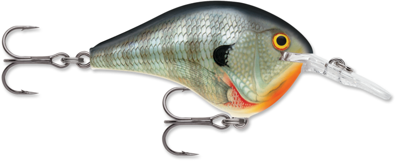 Rapala DT Series Crankbait