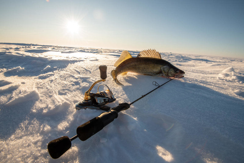 St. Croix Mojo Ice Rod