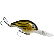 5xd barfish