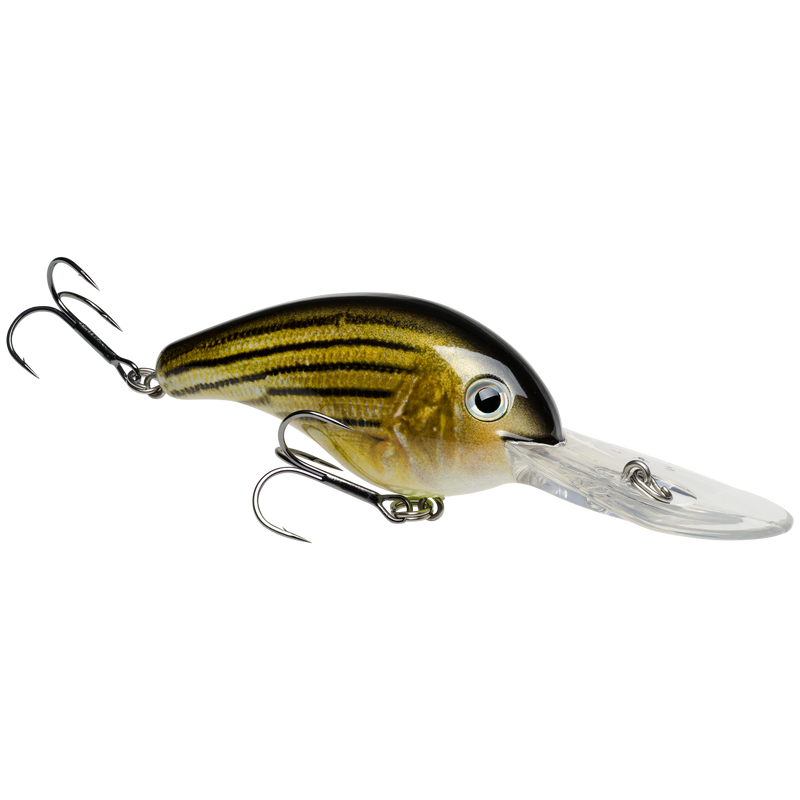 5xd barfish