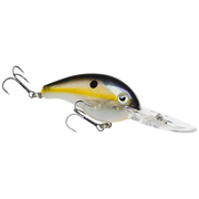 5xd crystal shad