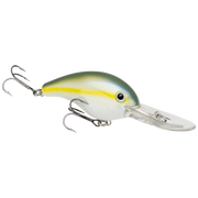 5xd sexy bb herring