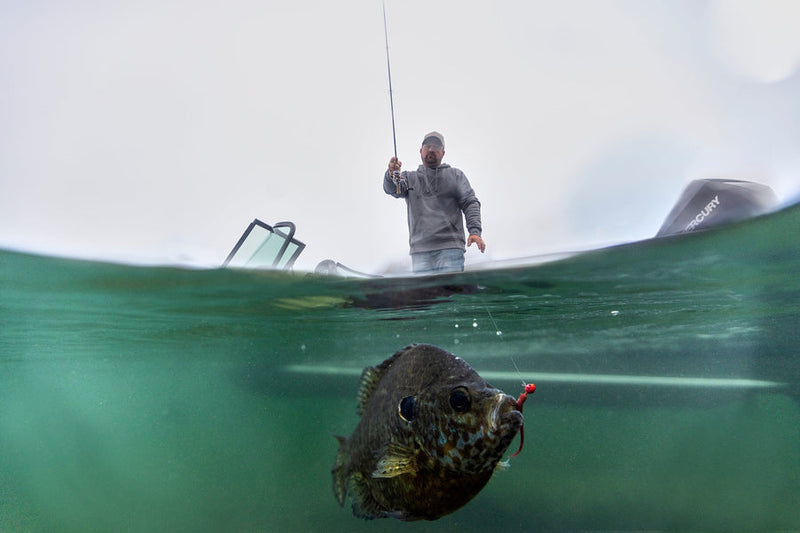 St. Croix Avid Series Panfish Rod