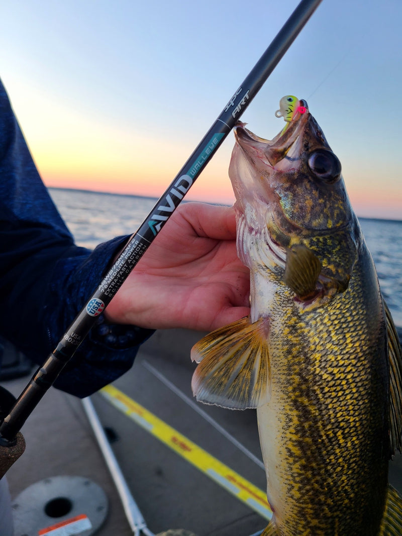 St. Croix Avid Series Walleye Spinning Rod
