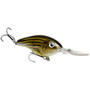 6xd barfish